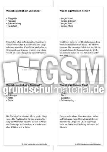 Quiz-Karten-Tiernamen 40.pdf